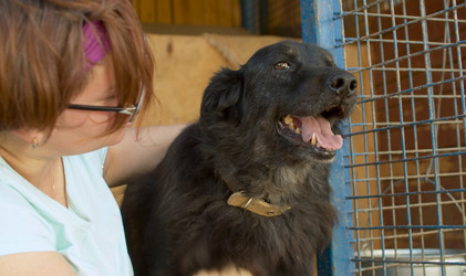 Similar image 21081694