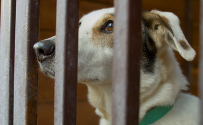 Similar image 21081697