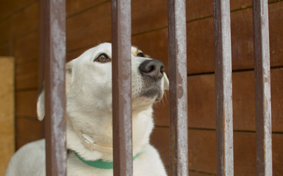 Similar image 21081698