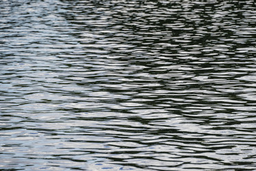 Similar image 21081057