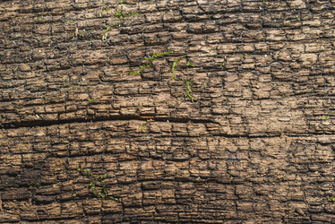 Similar image 21081064