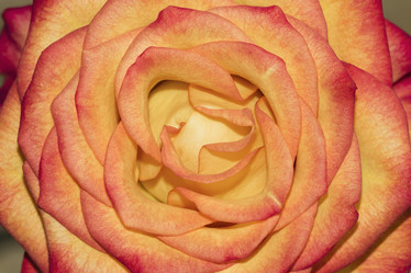 Similar image 21081076