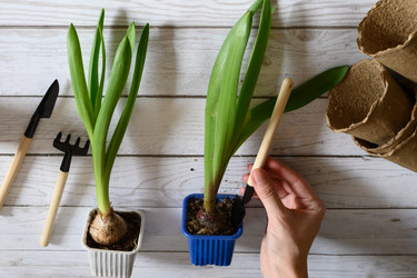 Similar image 21084453