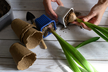 Similar image 21084454