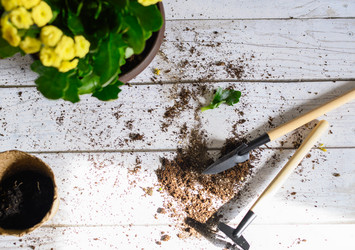 Similar image 21084459