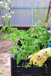 Similar image 21084463