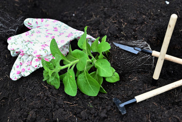 Similar image 21084465