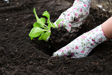 Similar image 21084467