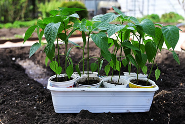 Similar image 21084468