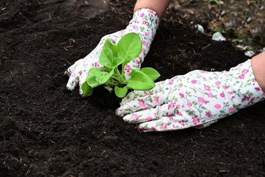 Similar image 21084469