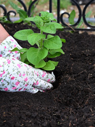 Similar image 21084470