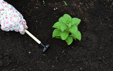 Similar image 21084471