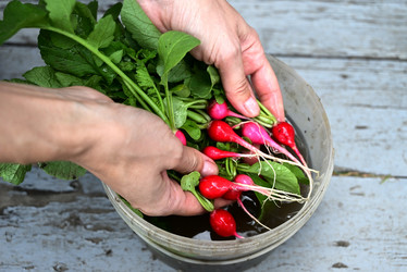 Similar image 21084473