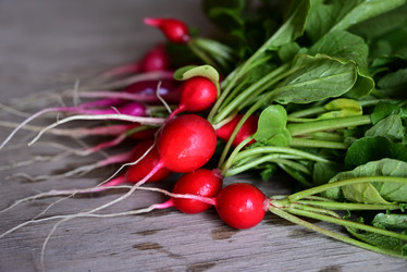 Similar image 21084474