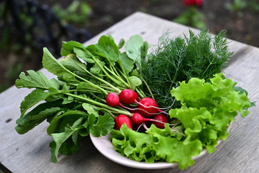 Similar image 21084475