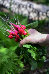 Similar image 21084477