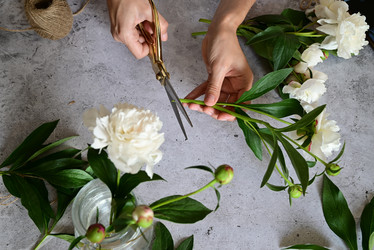 Similar image 21084481