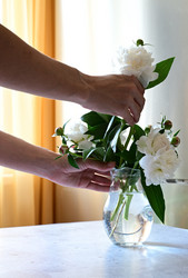 Similar image 21084482