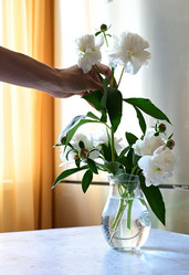 Similar image 21084483