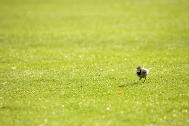 Similar image 21094274