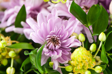 Similar image 21117767