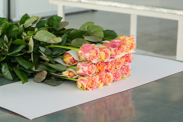 Similar image 21118181