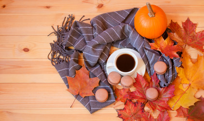 Similar image 21081401