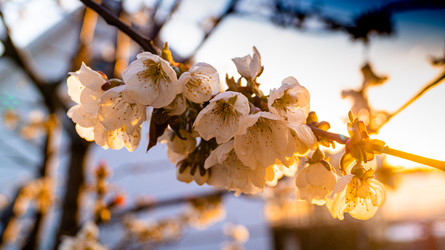 Similar image 21084496