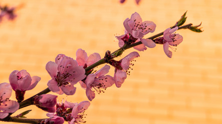 Similar image 21084503