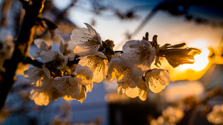 Similar image 21084504