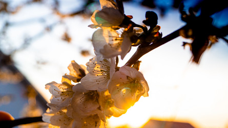 Similar image 21084506