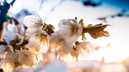 Similar image 21082959