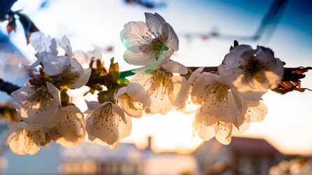 Similar image 21084514