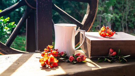 Similar image 21084516