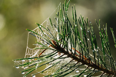 Similar image 21088114