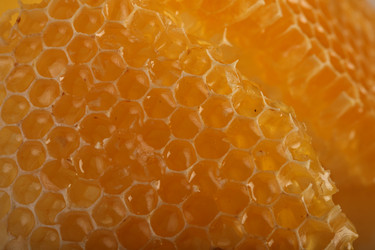 Similar image 21111404