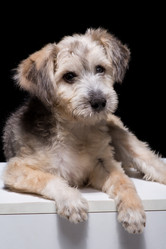 Similar image 21117779