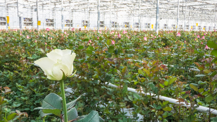 Similar image 21117801