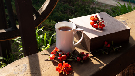 Similar image 21084517