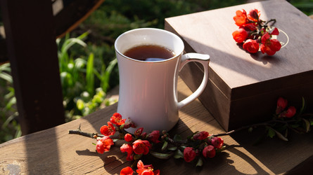 Similar image 21084518