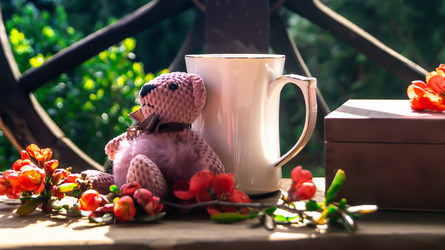 Similar image 21084522