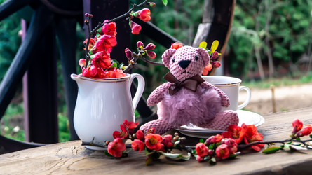 Similar image 21084523