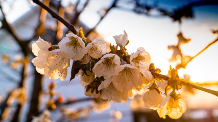 Similar image 21082961