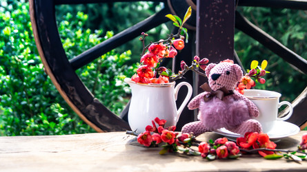 Similar image 21084528