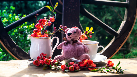 Similar image 21084529