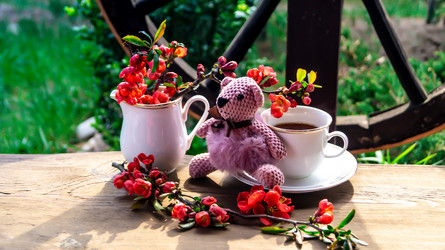 Similar image 21084531