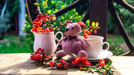 Similar image 21084532