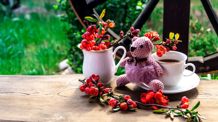 Similar image 21084534