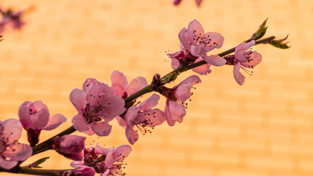 Similar image 21082240