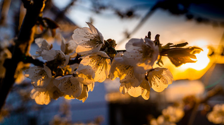 Similar image 21082241